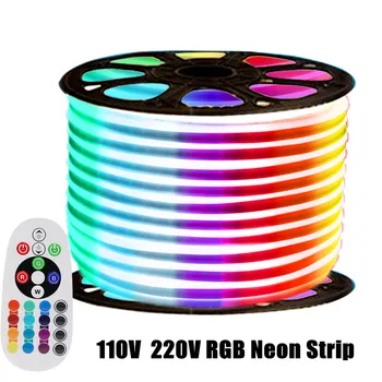  110V 220V RGB LED Neon Şerit Flex Halat Ev Dekorasyon Dış Aydınlatma ile AB / İNGİLTERE / ABD / AU Uzaktan Kumanda