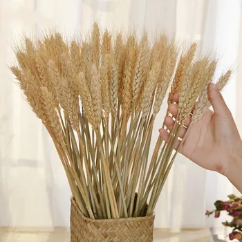  50 adet Kurutulmuş Çiçek Dekor Paket Kuru Buğday Kurutulmuş Çiçekler Büyük Paket Çiçekler Düğün için Doğal Ev Dekorasyonu Yapay Buğday