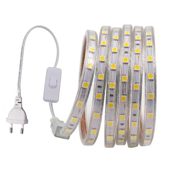  5050 LED şerit ışık 220V 110V su geçirmez 60LED/m Esnek LED Şerit Anahtarı fişi ile ev Dekorasyon Sıcak Beyaz Mavi